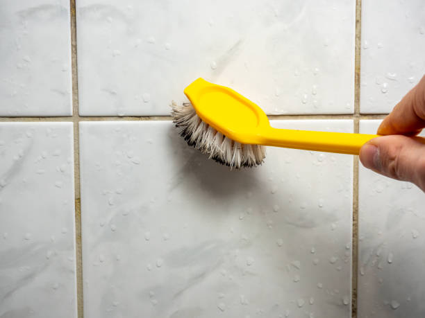 Best Toxic Mold Removal  in Orono, MN
