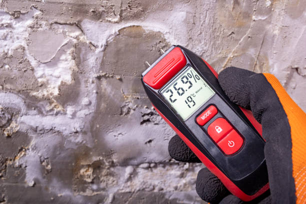 Best Residential Mold Removal  in Orono, MN