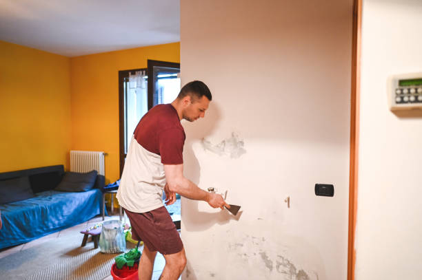 Mold Removal Process in Orono, MN